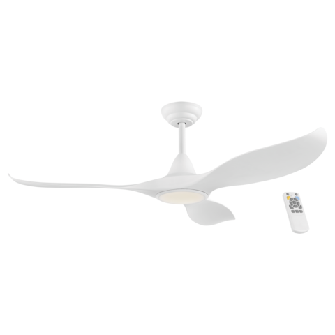 Noosa ABS DC Ceiling Fan with LED Light