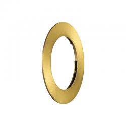 Roystar Down Light Flat Trim