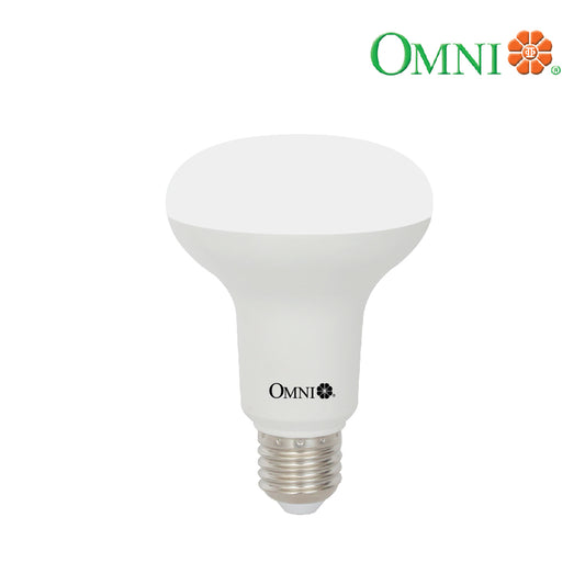 10W R80 ES LED Frost Globe