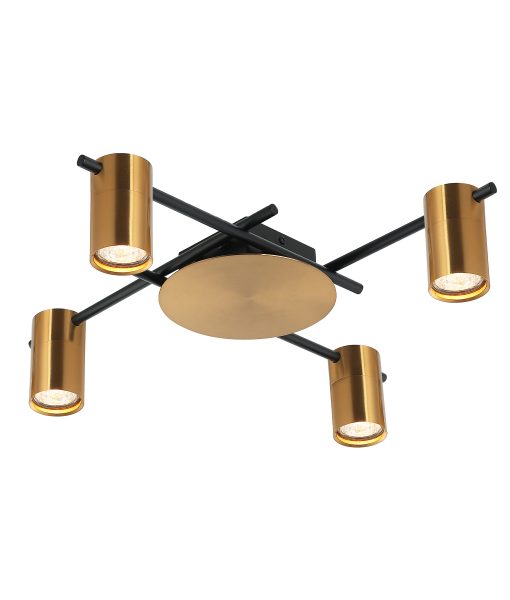 TACHE Interior Spot Ceiling Light