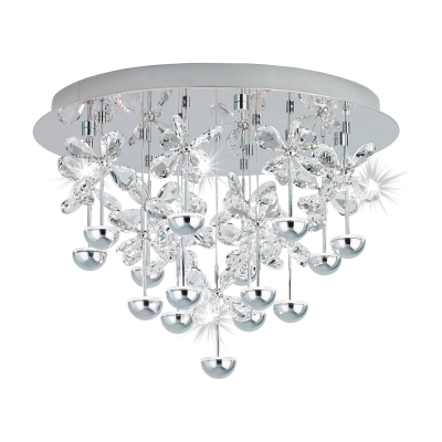 close-to-ceiling-oysters